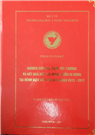 Nghiên cứu đặc điểm tổn thương và kết quả điều trị mảng sườn di động tại Bệnh viện Việt Đức giai đoạn 2012 - 2017.